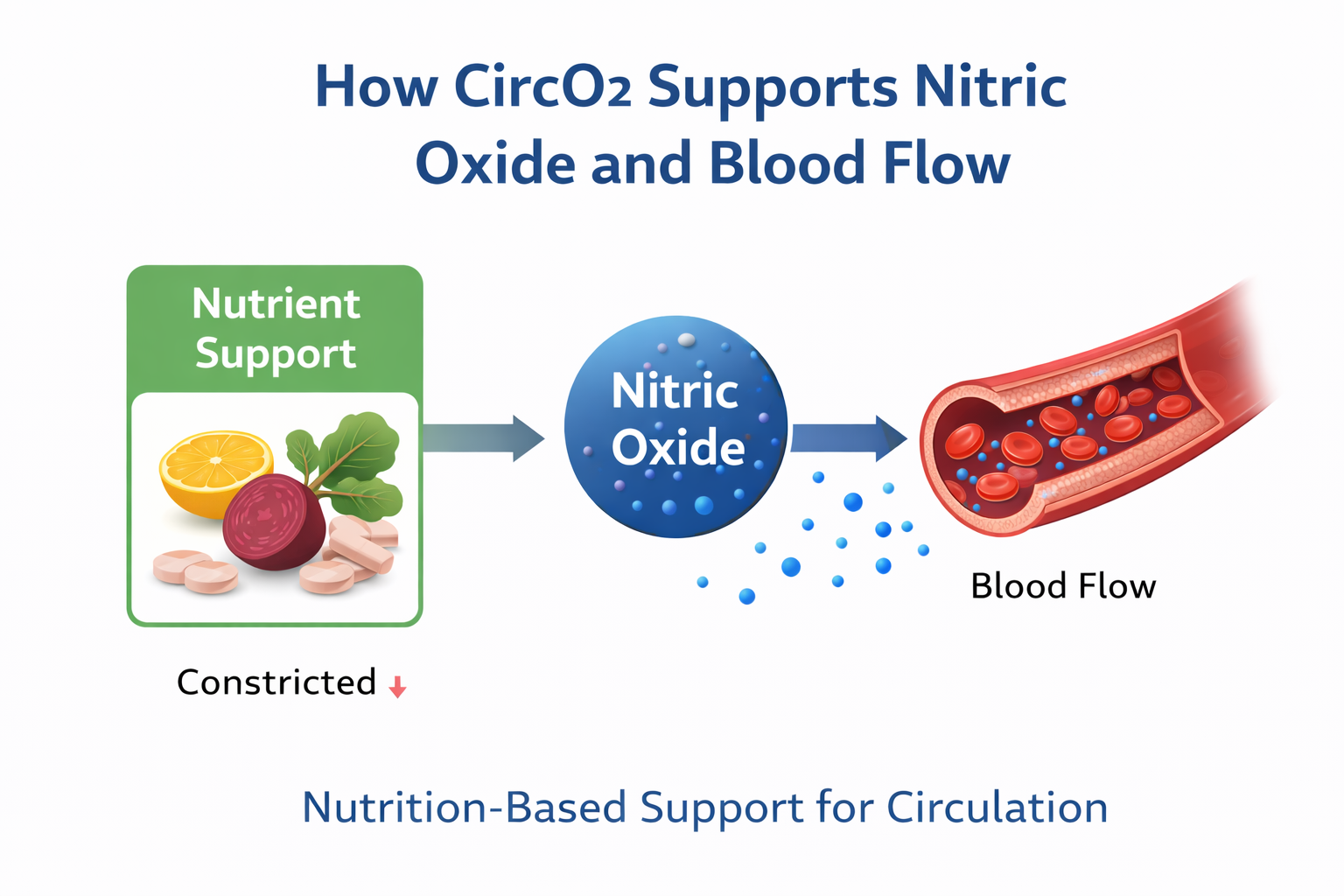 Diagram illustrating nutrition-based support for nitric oxide pathways and blood flow