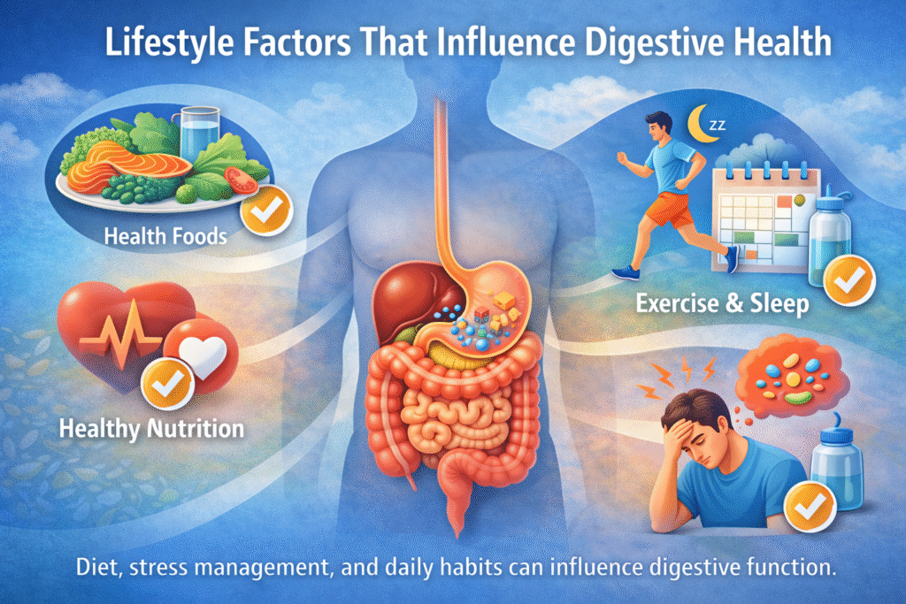 Illustration representing lifestyle habits that affect digestive health